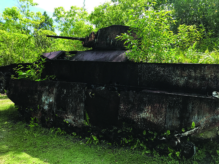 Beauty and tragedy often merge on Peleliu, where battle relics—like this Amtrac—still litter the tiny Pacific island. (Photo by William R. Coulson)