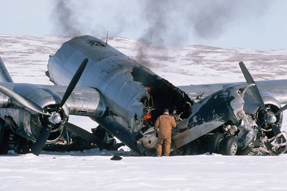 Kee Bird in Greenland