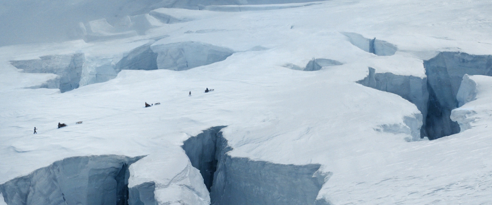 Amundsen's use of sled dogs was key to the success of his South Pole expedition. (© Motion Blur)