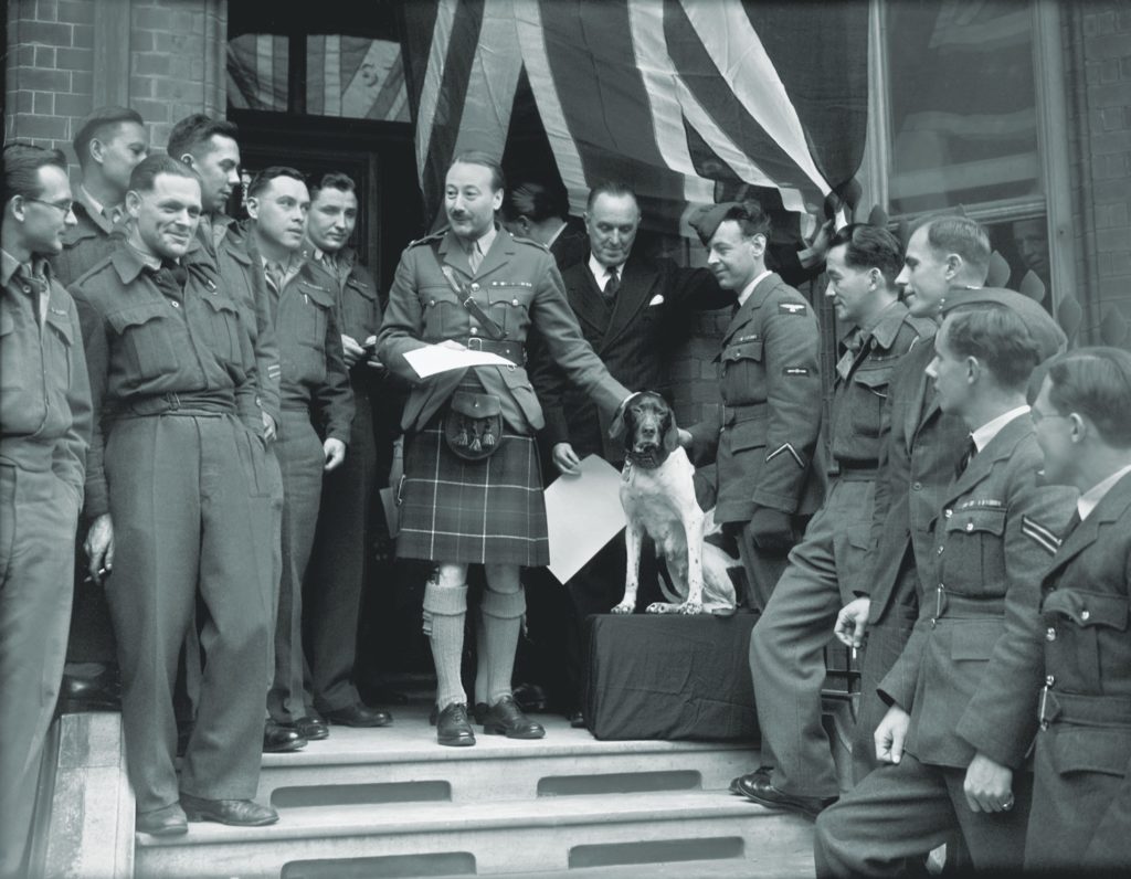 The British media reported on Judy’s wartime heroics even as the freed POWs were sailing home to England. Soon after, a veterinary charity awarded the dog its highest honor, the Dickin Medal. Frank Williams stands immediately to the right of Judy during the presentation ceremony. (Topical Press Agency/Hulton Archive/Getty Images)