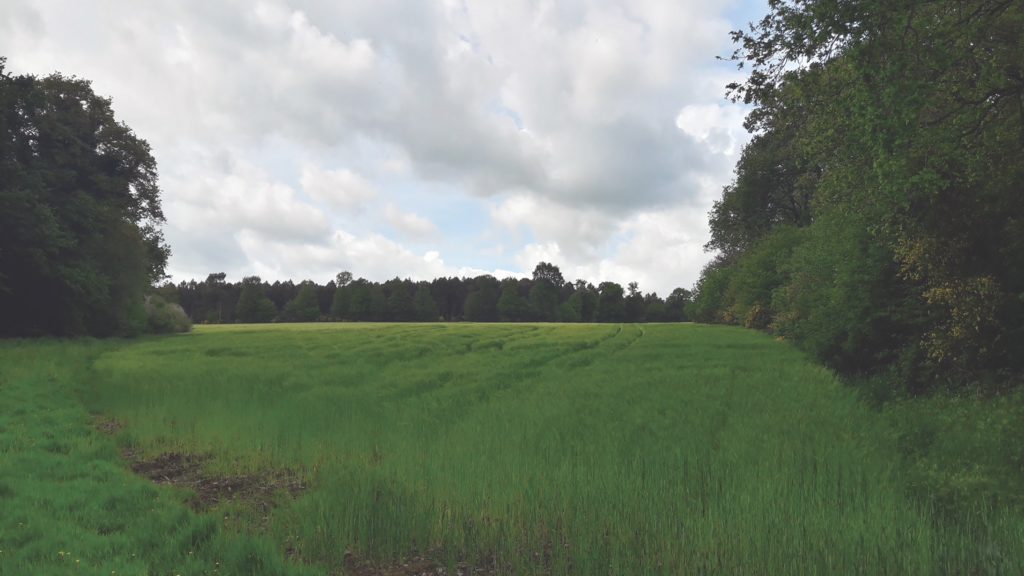 This grassy plain remains mostly unchanged from when it served as an Allied drop zone in the days before the battle. A nearby granite monument (below), bearing the Resistance’s Cross of Lorraine, commemorates the dead. (Gavin Mortimer) 