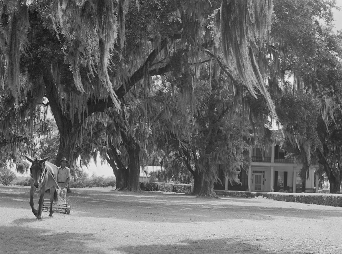 Antebellum Plantation