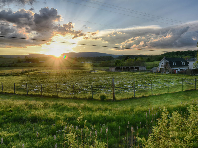 Moorefield, WV battle site