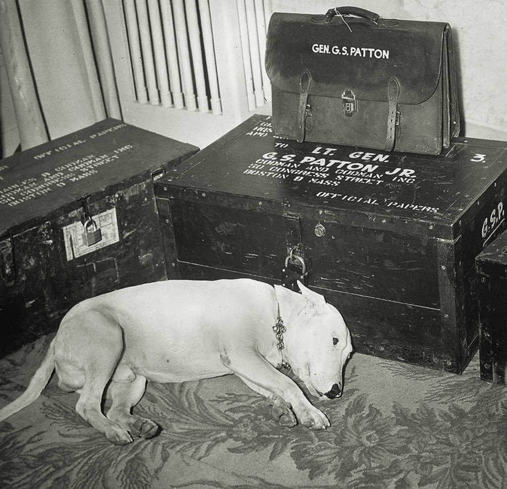 general-patton-dog-willie-ww2