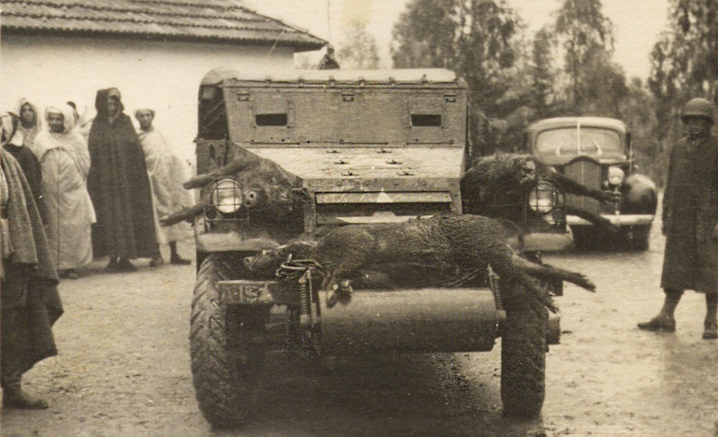 patton-wild-boar-north-africa-ww2