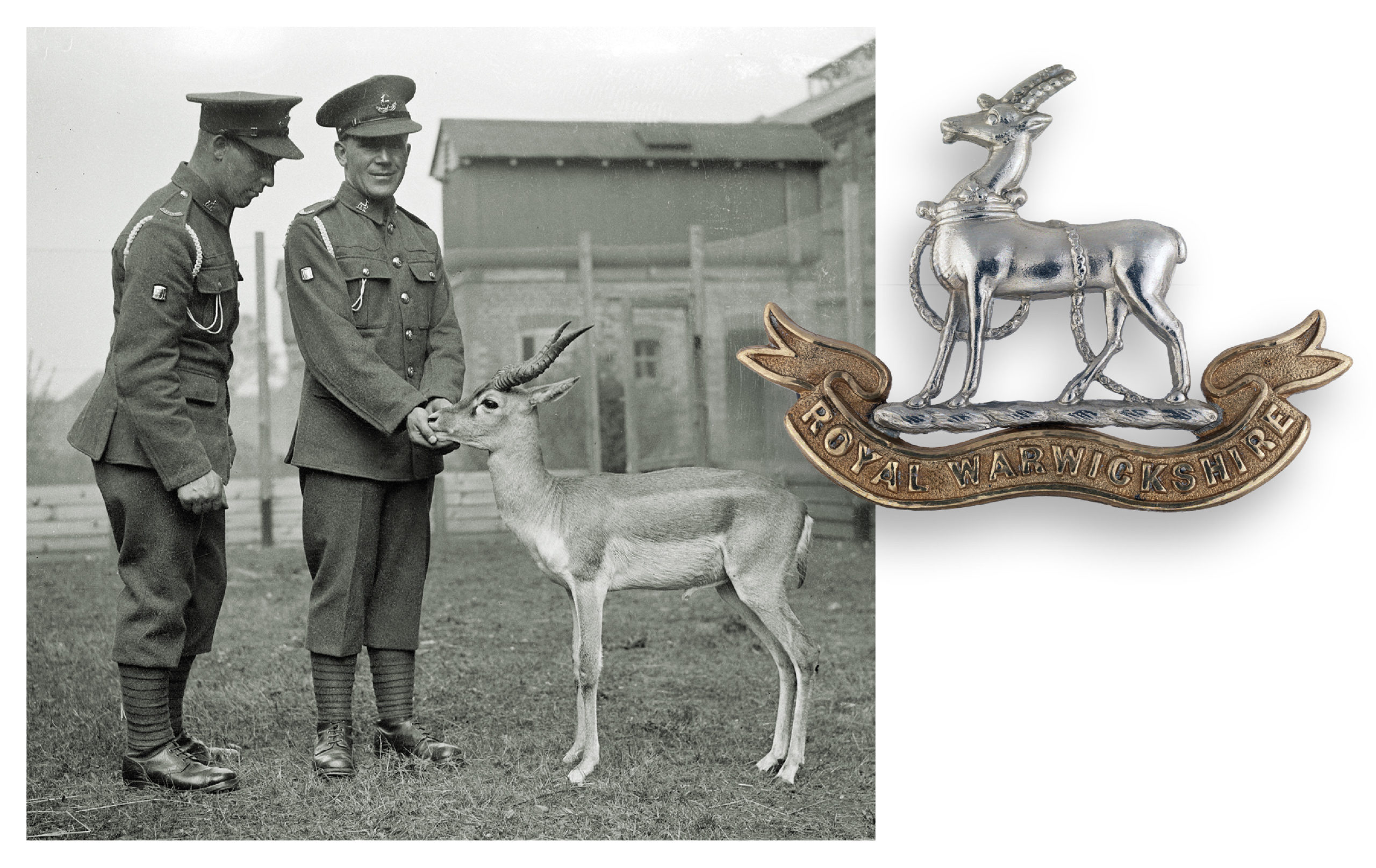 cap-badges-warwickshire