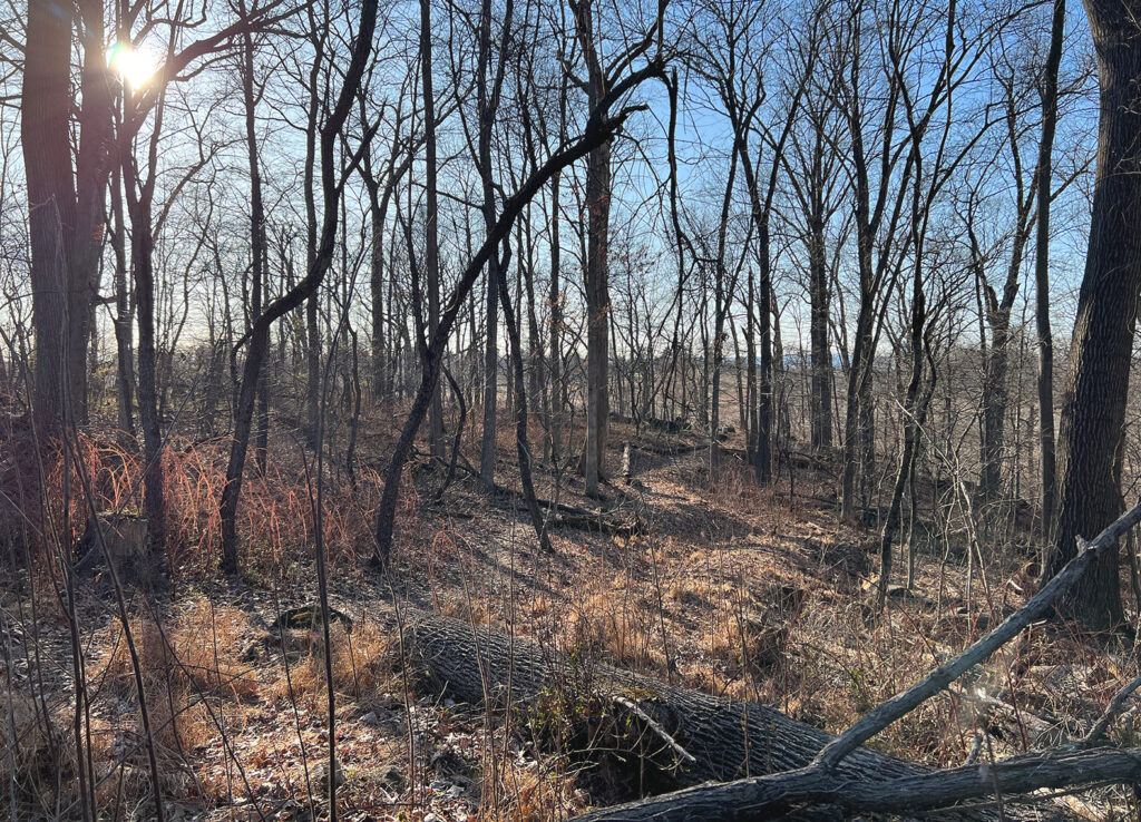 Modern image of Stevens' Knoll