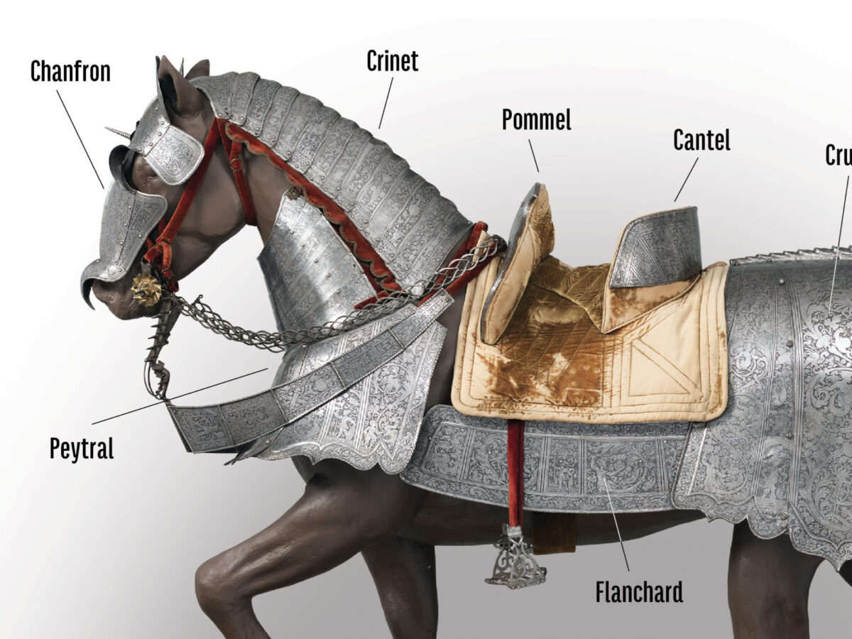 horse-armor-diagram