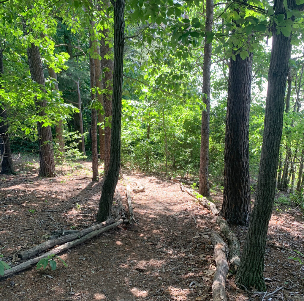Fort Taylor Park, Falls Church, Va.
