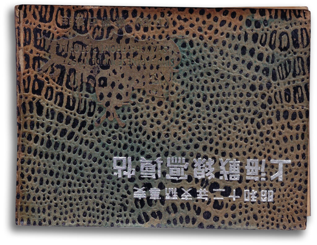 sino-japanese-photo-book-cover