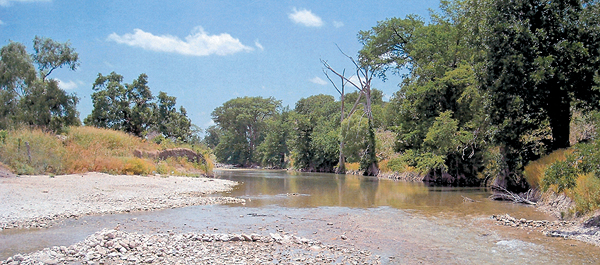 In 1841 Jack Hays and his Texas Rangers caught up to Comanche raiders at Pinta Trail on the Guadalupe. (Wayne R. Austerman)